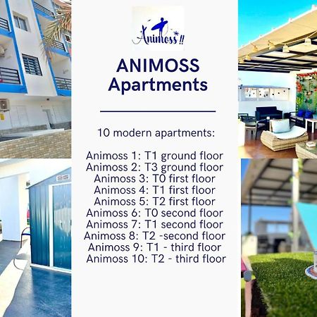 Animos! Apartments - 10 Modern Apartments Near The City & Beach, Perfect For Nomads, Travellers, Families, Watersports! Santa Maria Exteriér fotografie