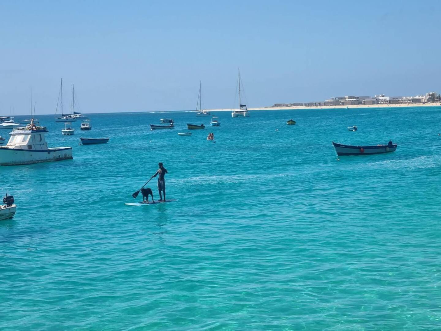 Animos! Apartments - 10 Modern Apartments Near The City & Beach, Perfect For Nomads, Travellers, Families, Watersports! Santa Maria Exteriér fotografie